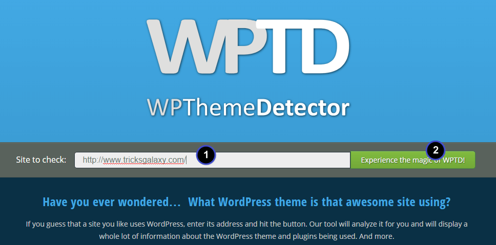 WP Theme Detector
