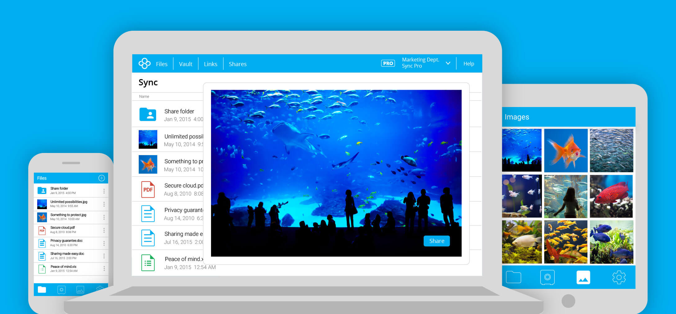 Sync.com Cloud Storage Free