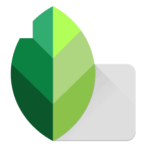snapseed photo editor online snapseed photo editor online