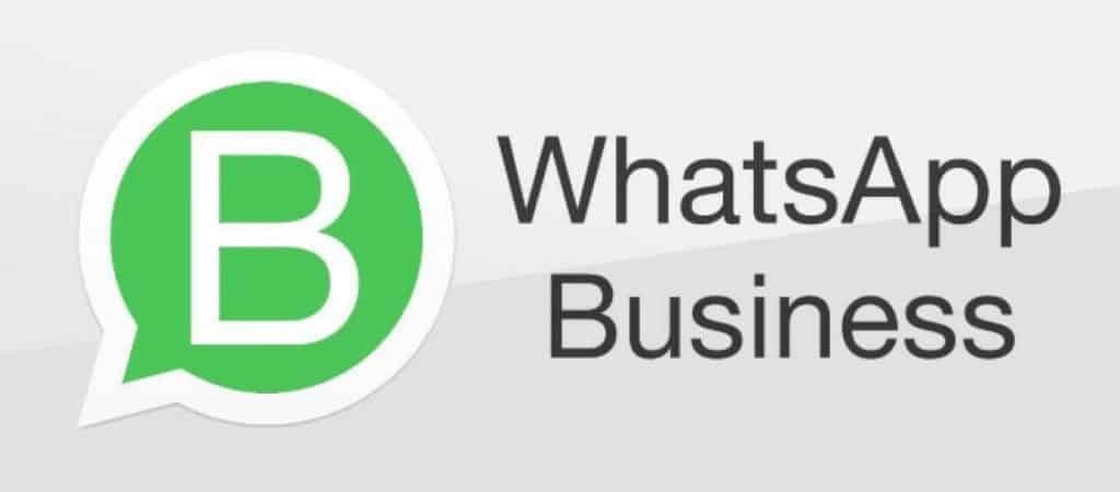 business whatsapp for windows 10