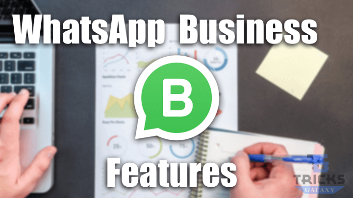 download apk whatsapp business download apk whatsapp business